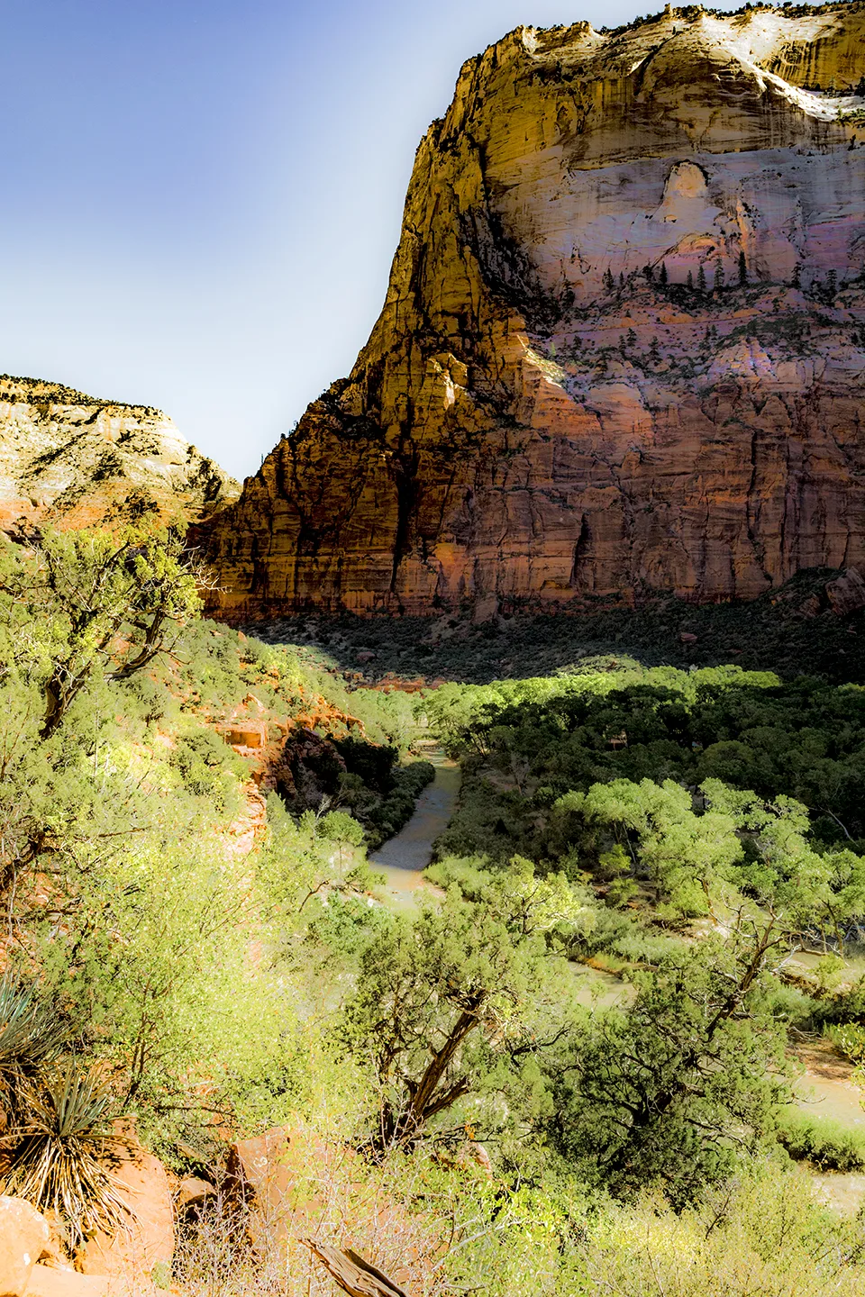 Zion 26