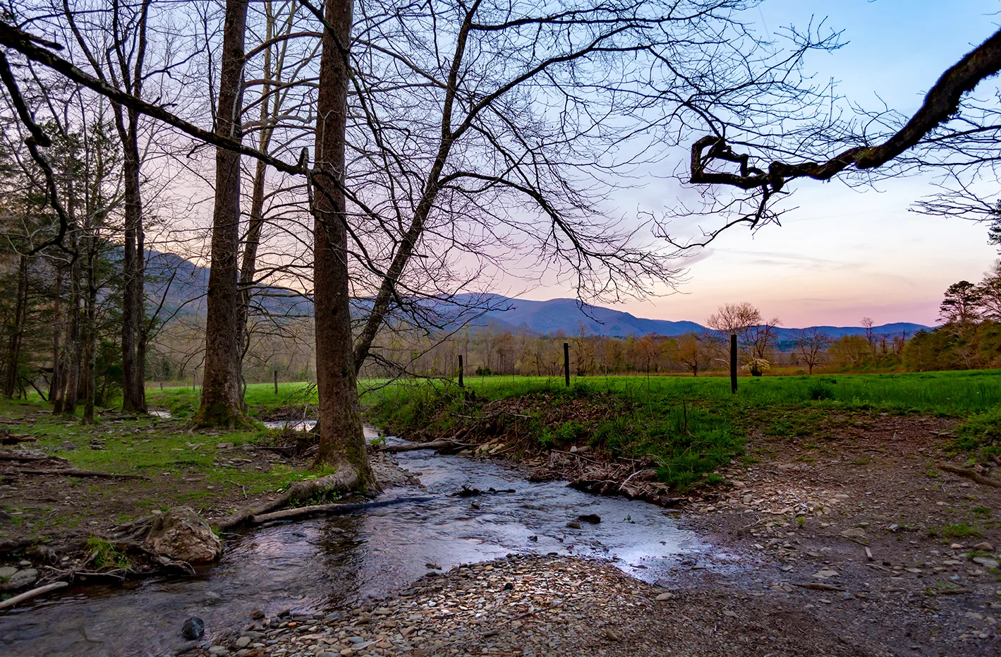 Cadescove 4