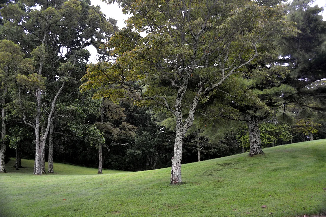 Blue Ridge Parkway 5 wc