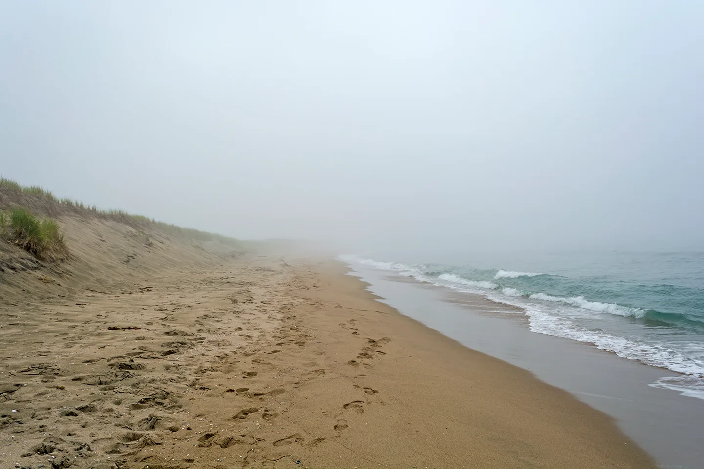 PortAuxBasqueReturn 6