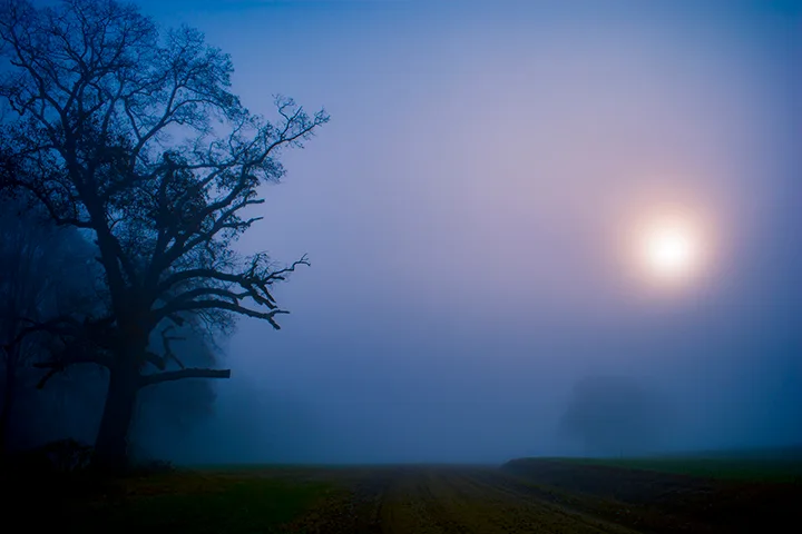 Fanniesloan 2015 Fog 8