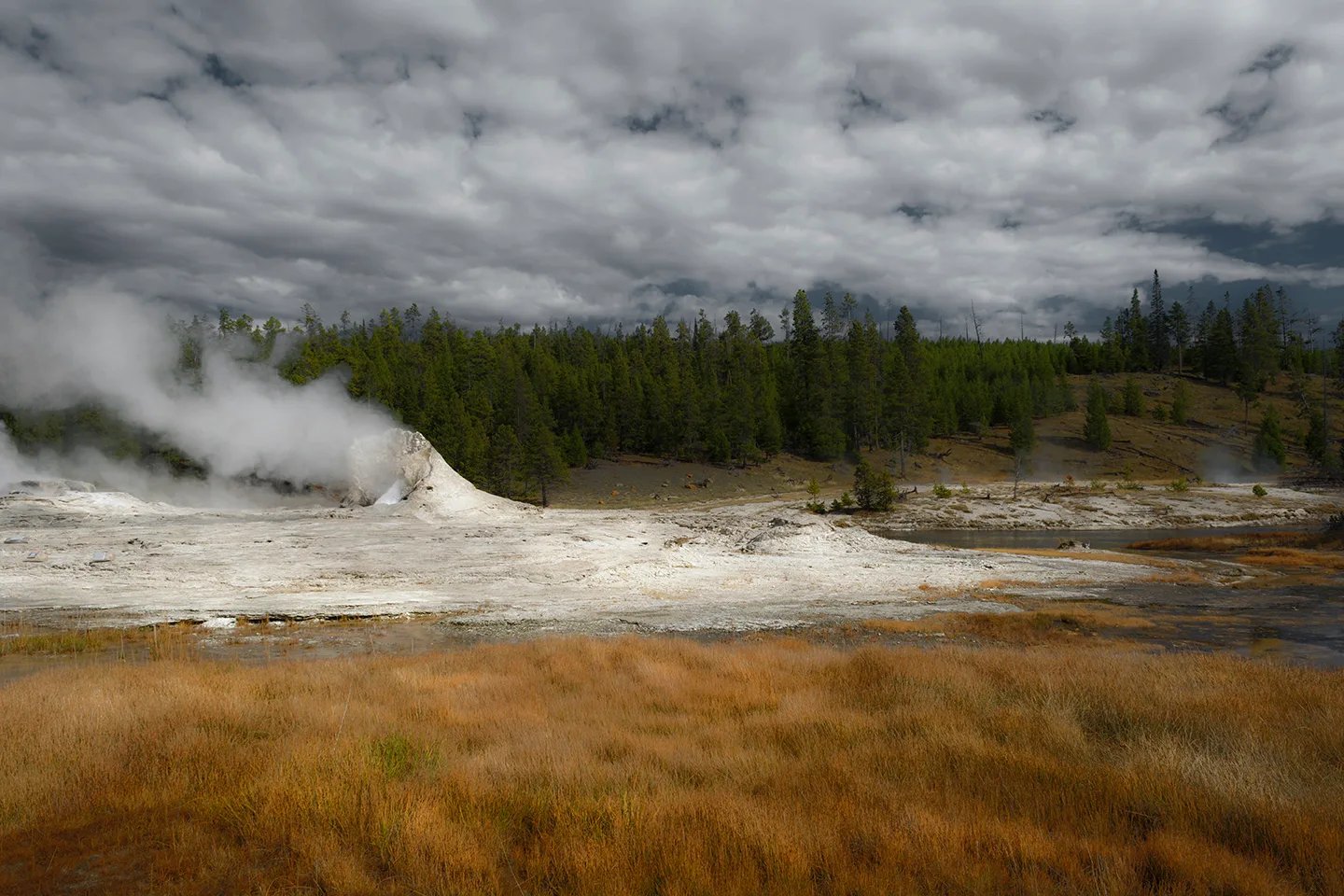 Yellowstone 19