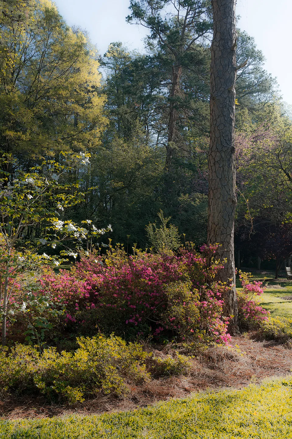 Hurley 3 Spring 2018