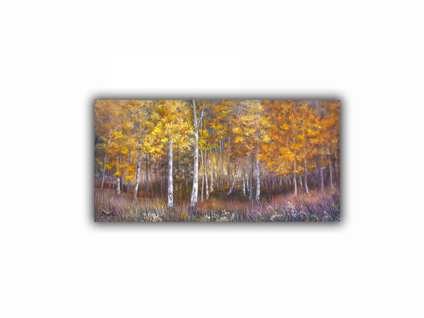 Tioga Creek Aspen Trees