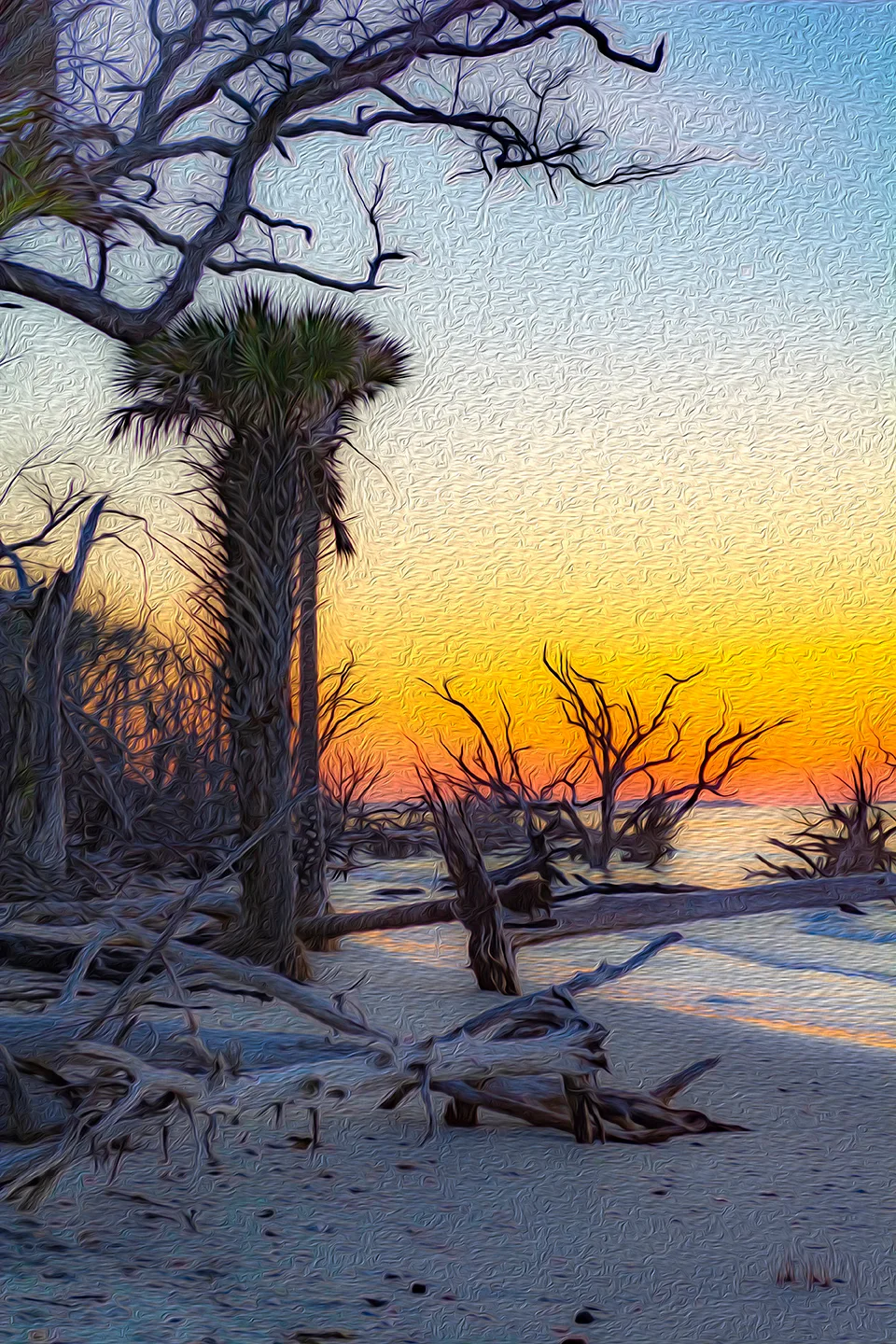 Edistosunrise 20 Oil