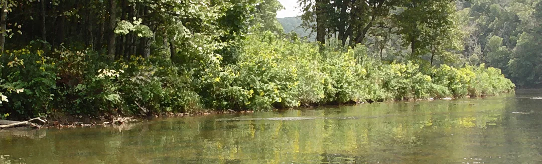 New River Bend Drybrush