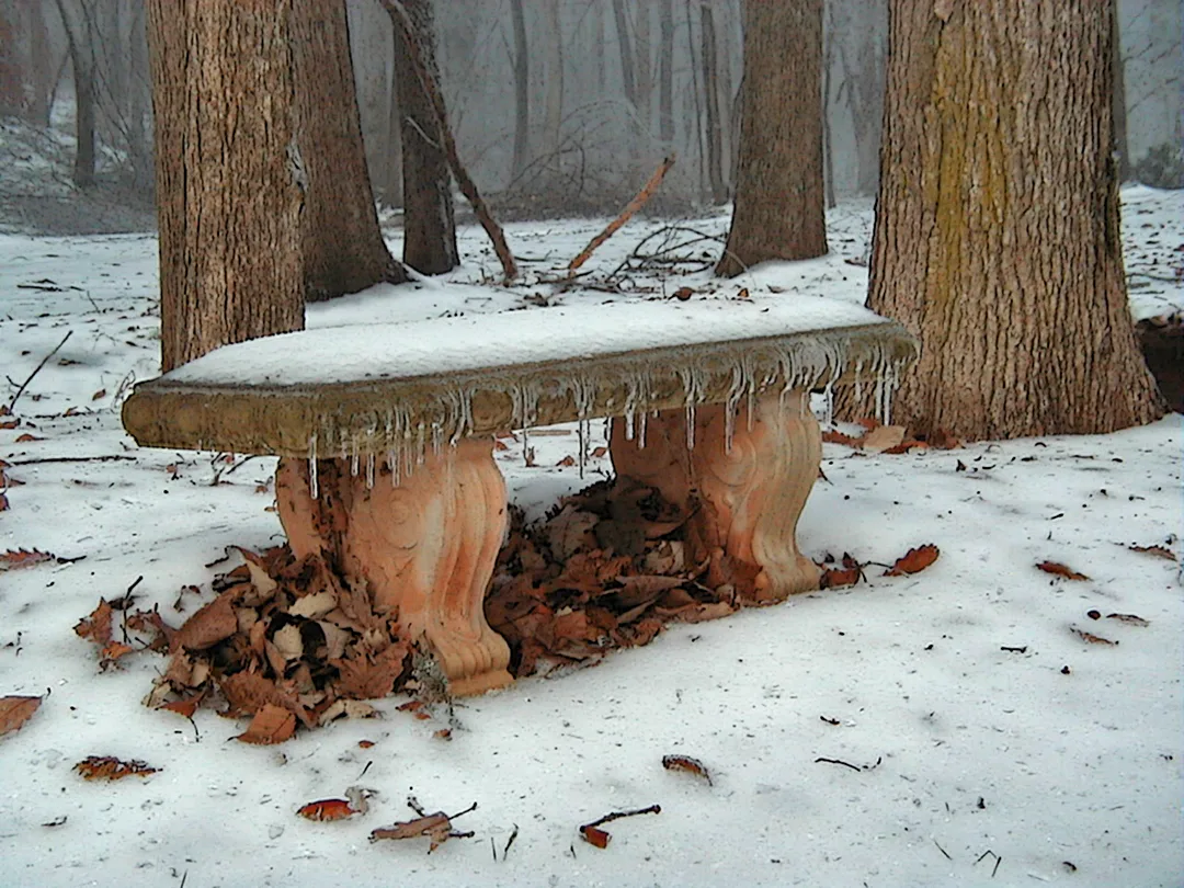 Snowy Bench