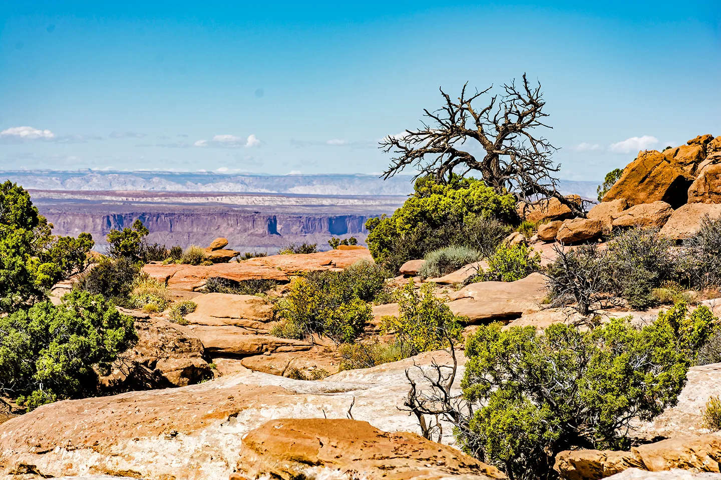 CanyonlandsNationalPark 29