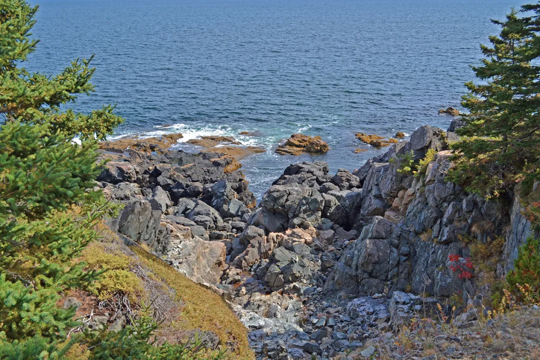 Acadia Shore 3
