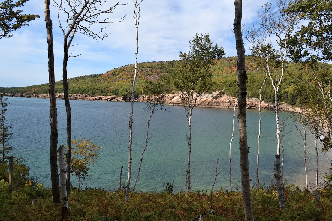 Acadia Shore Fall 1-14