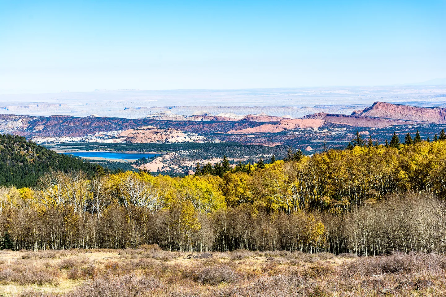 Dixienationalforest 2