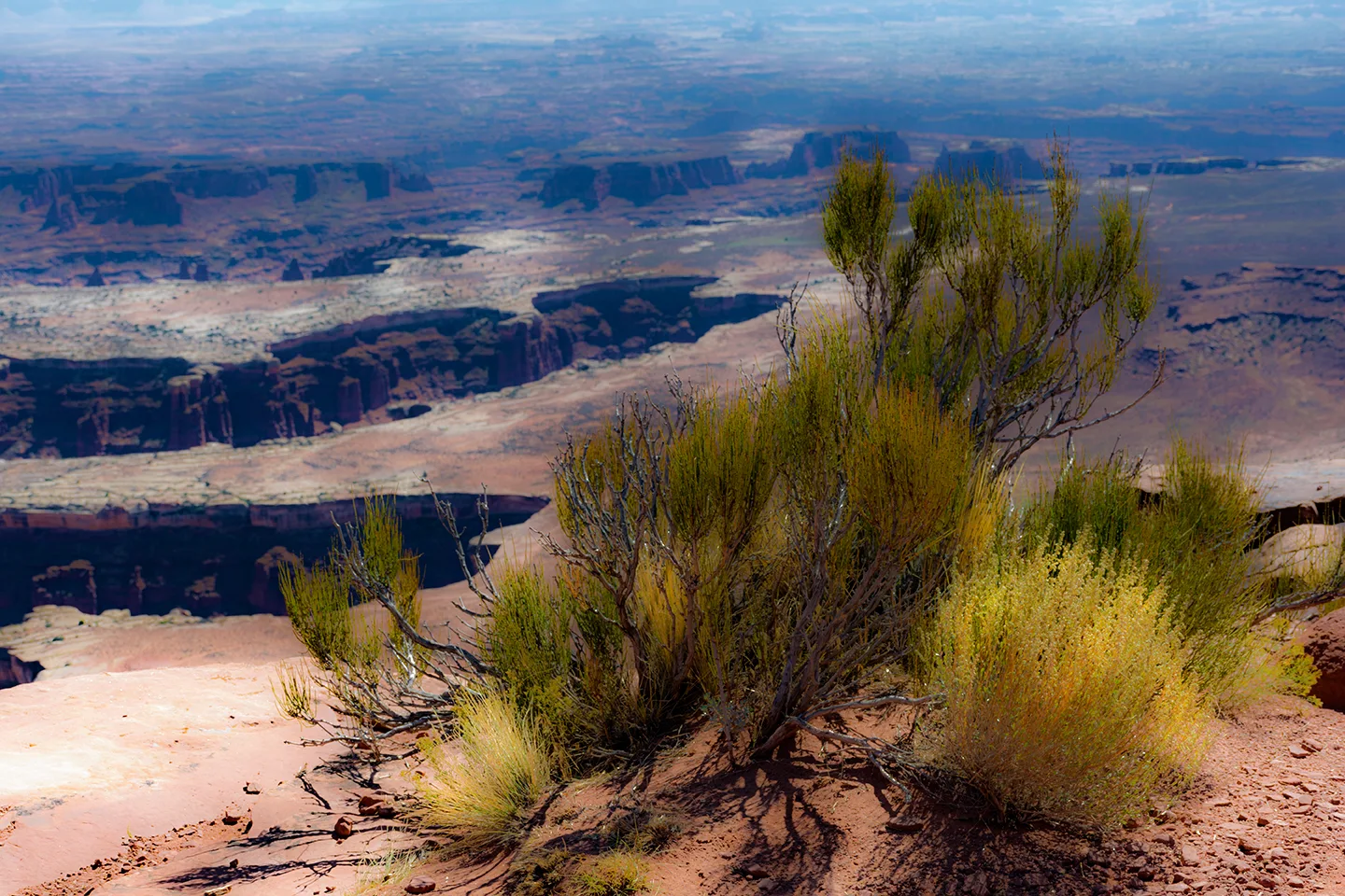 CanyonlandsNationalPark 27