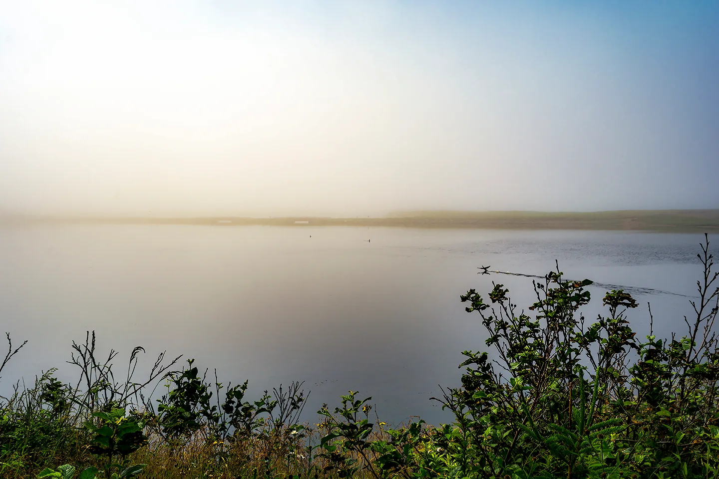 PortAuxBasqueReturn 4