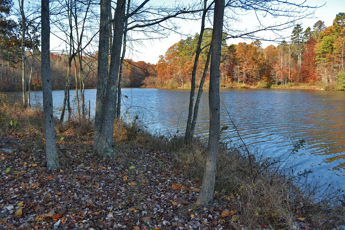 Lake Corriher 2014-13