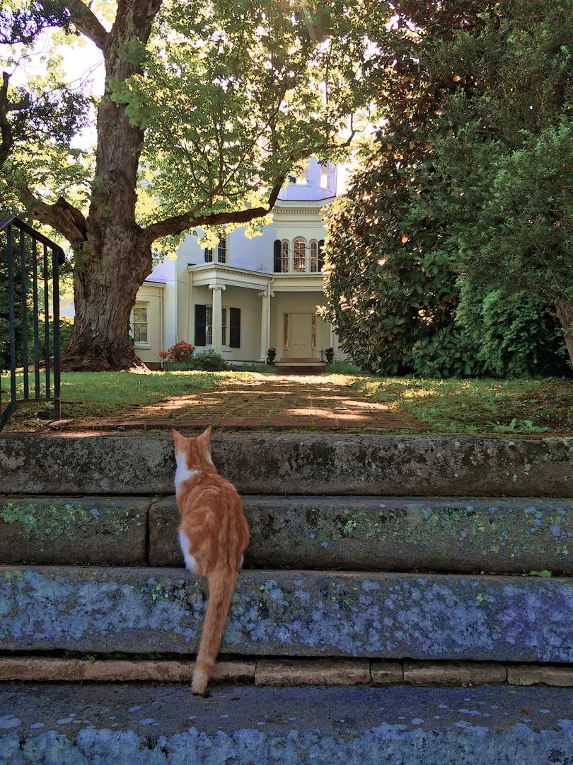 Coolemee Plantation 1