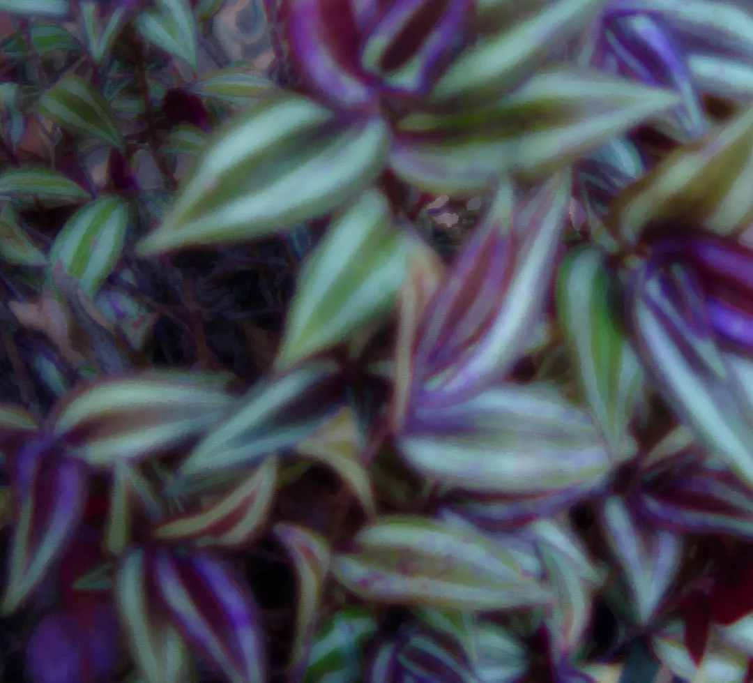 Wanderingjewunderpaint