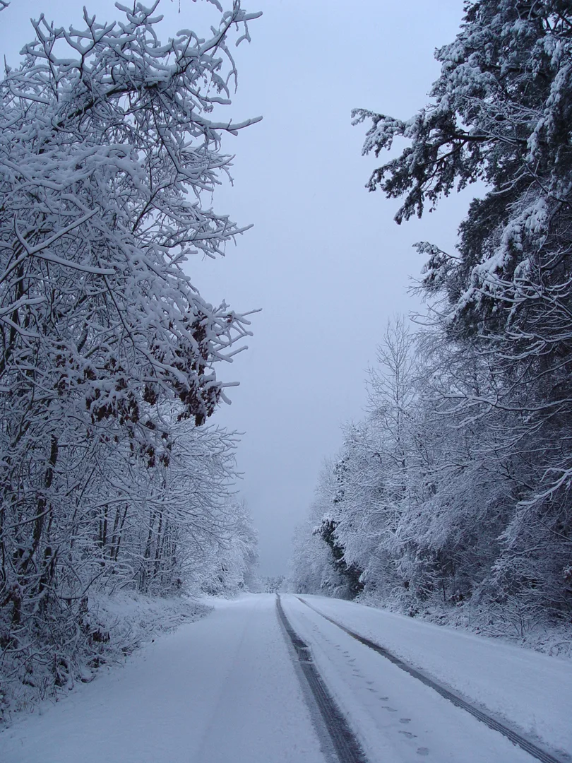 Neel Road after the Snow