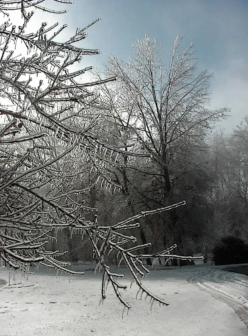 Ice Storm 3