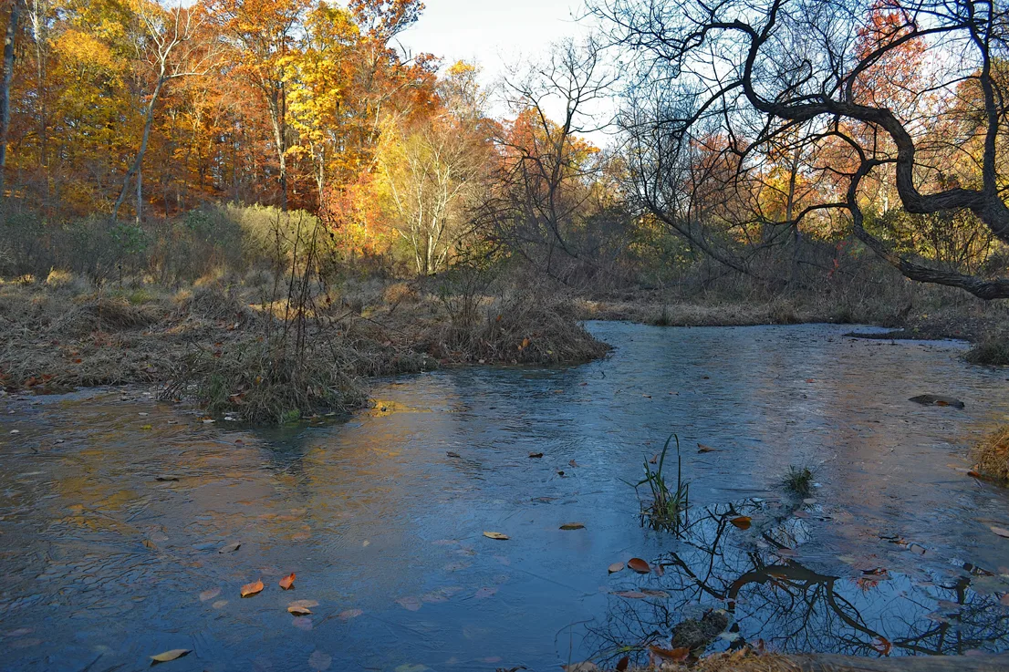 Lake Corriher 2014-7