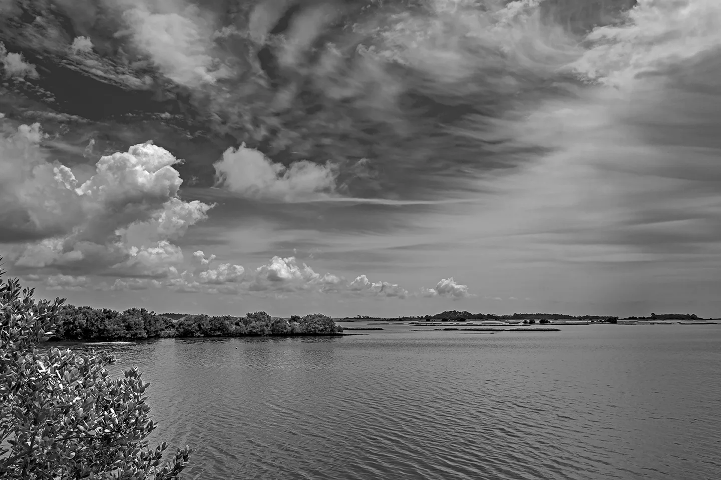 Cedarkey 1 B&W