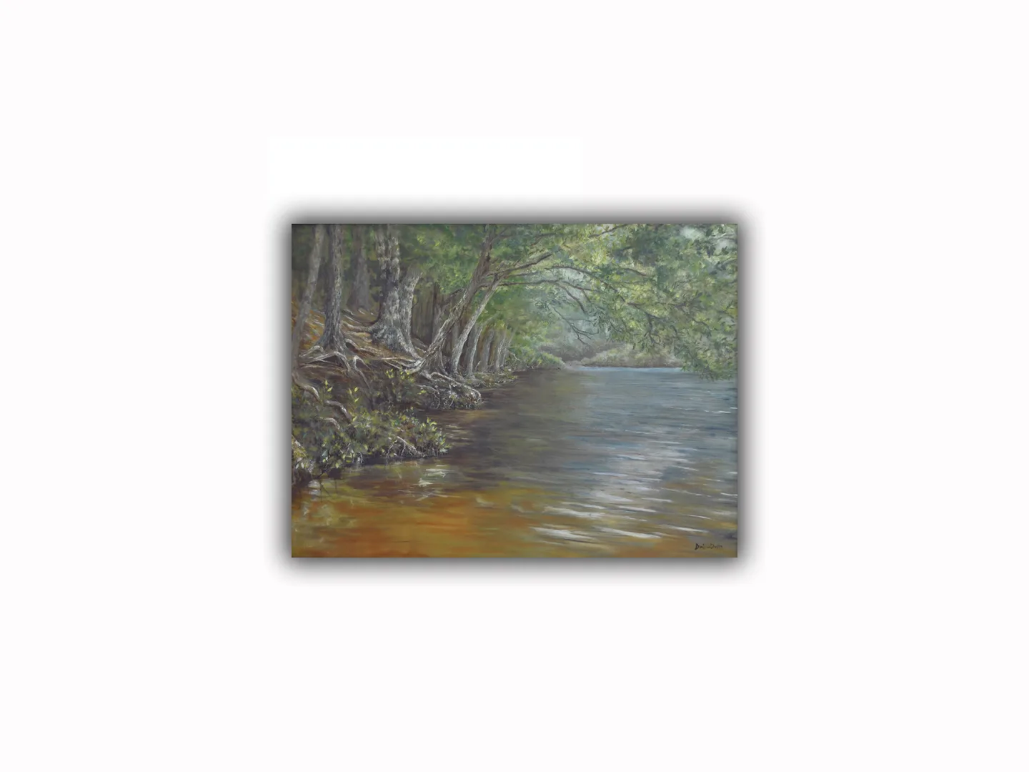 Pee Dee River Basin 1