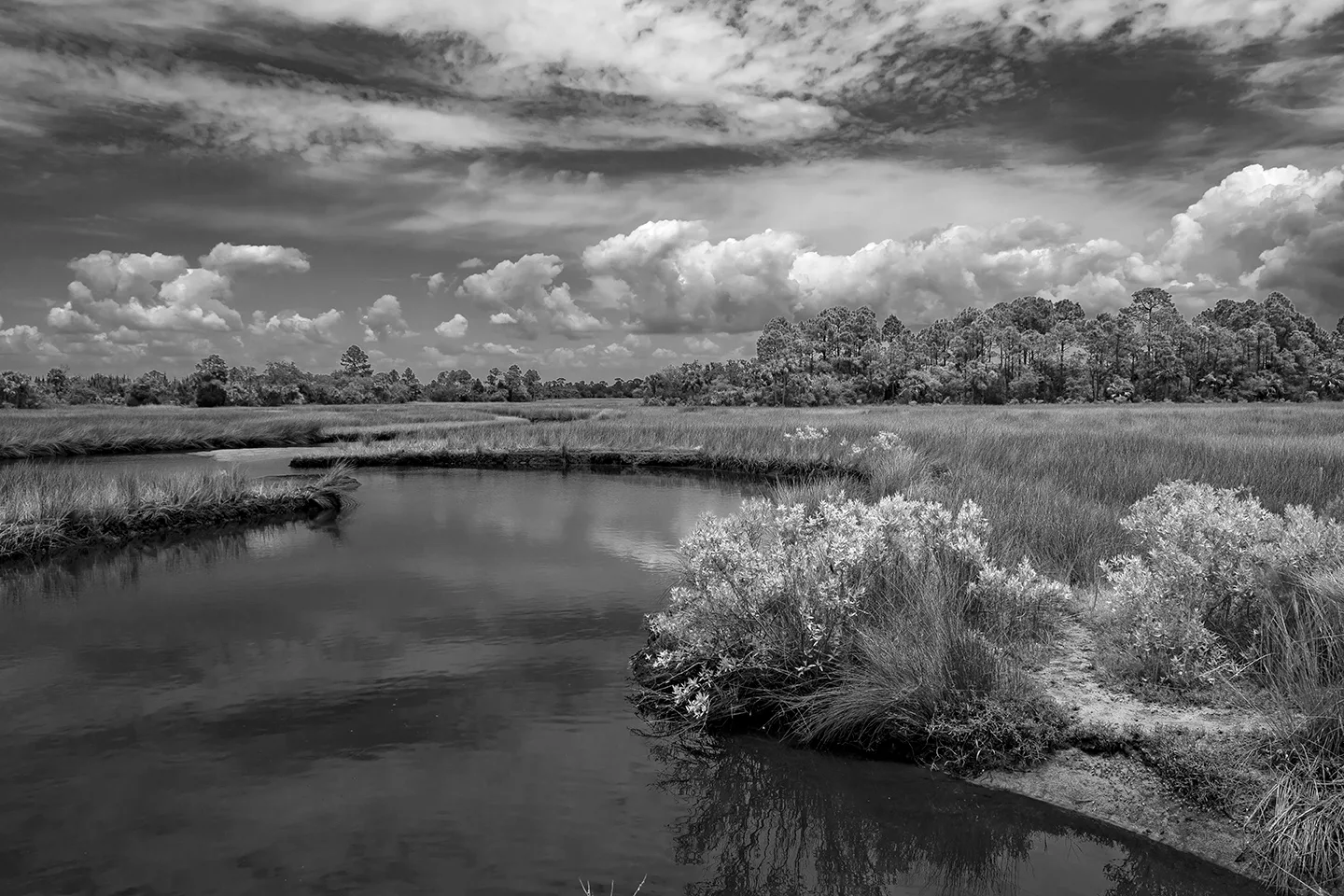 Cedarkey 2 B&W