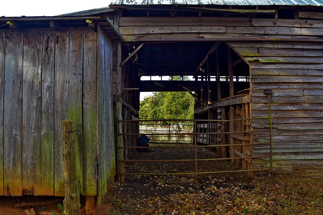 Poteat Barn 5