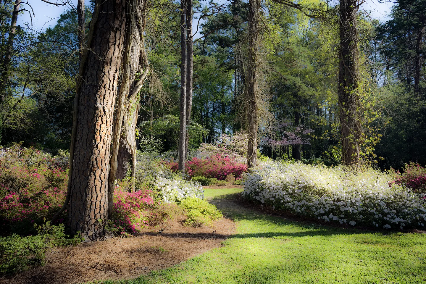 Hurley 2 Spring 2018