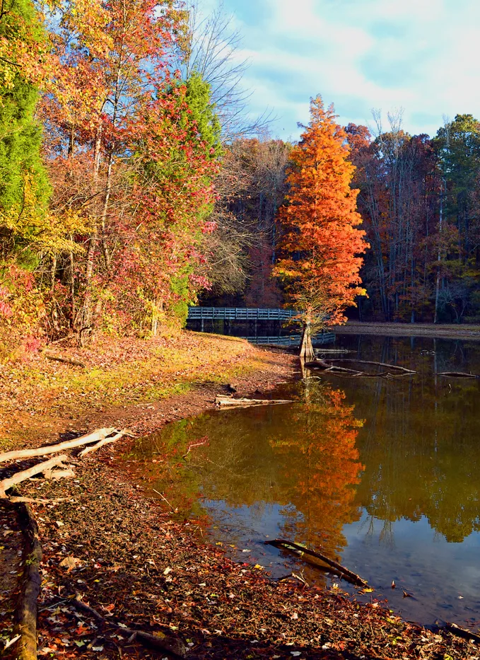 autumn Dan Nicholas 3