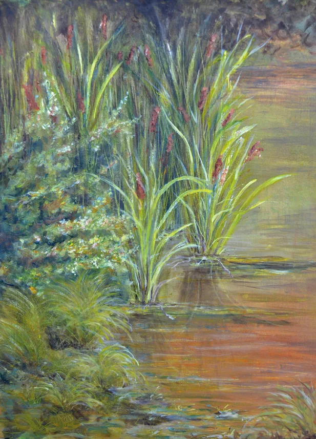 Cattails At Hurley Community Park