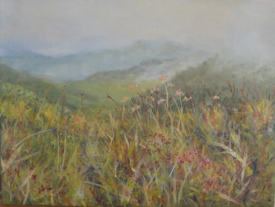 Blue Ridge Wildflowers-2