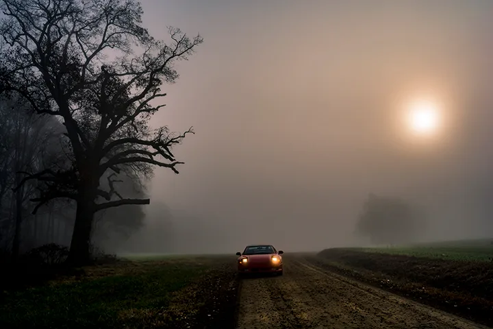 Fanniesloan 2015 Fog 16