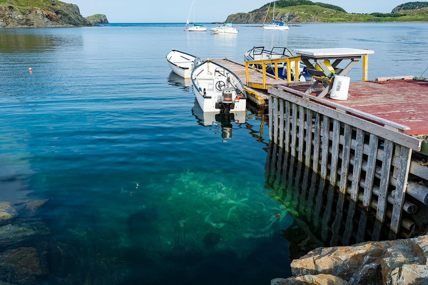 Twillingate 60