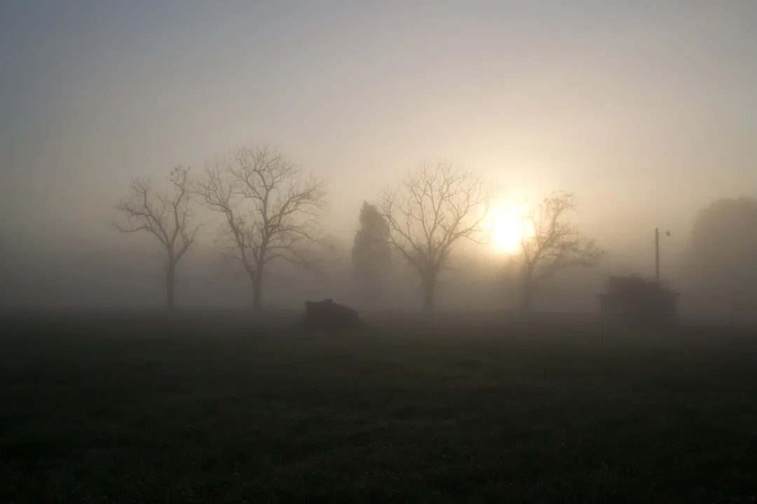 Fog 19 Th Noise Reduce