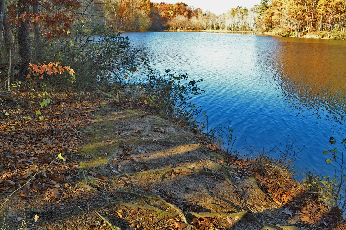 Lake Corriher 2014-11