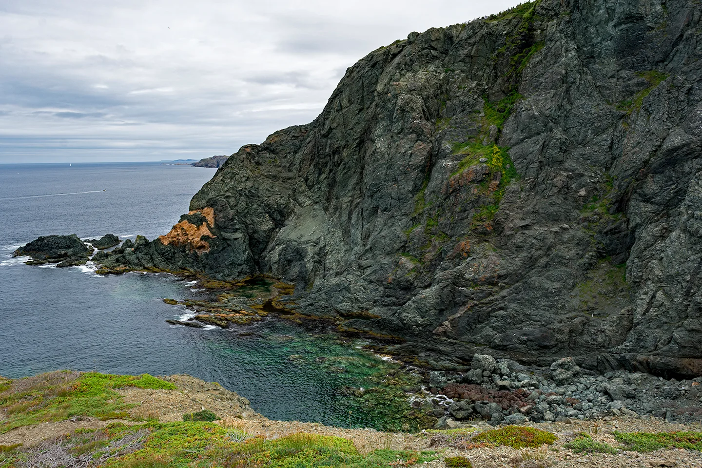 Twillingate 17