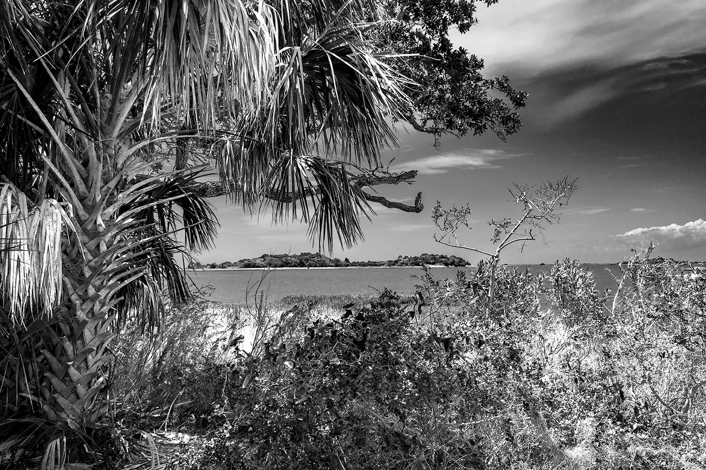 Cedarkey 14 B&W