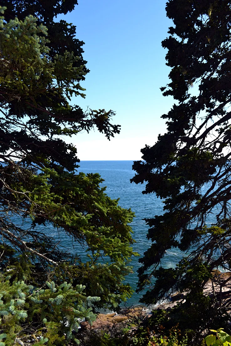 Acadia Shore Fall 1-5