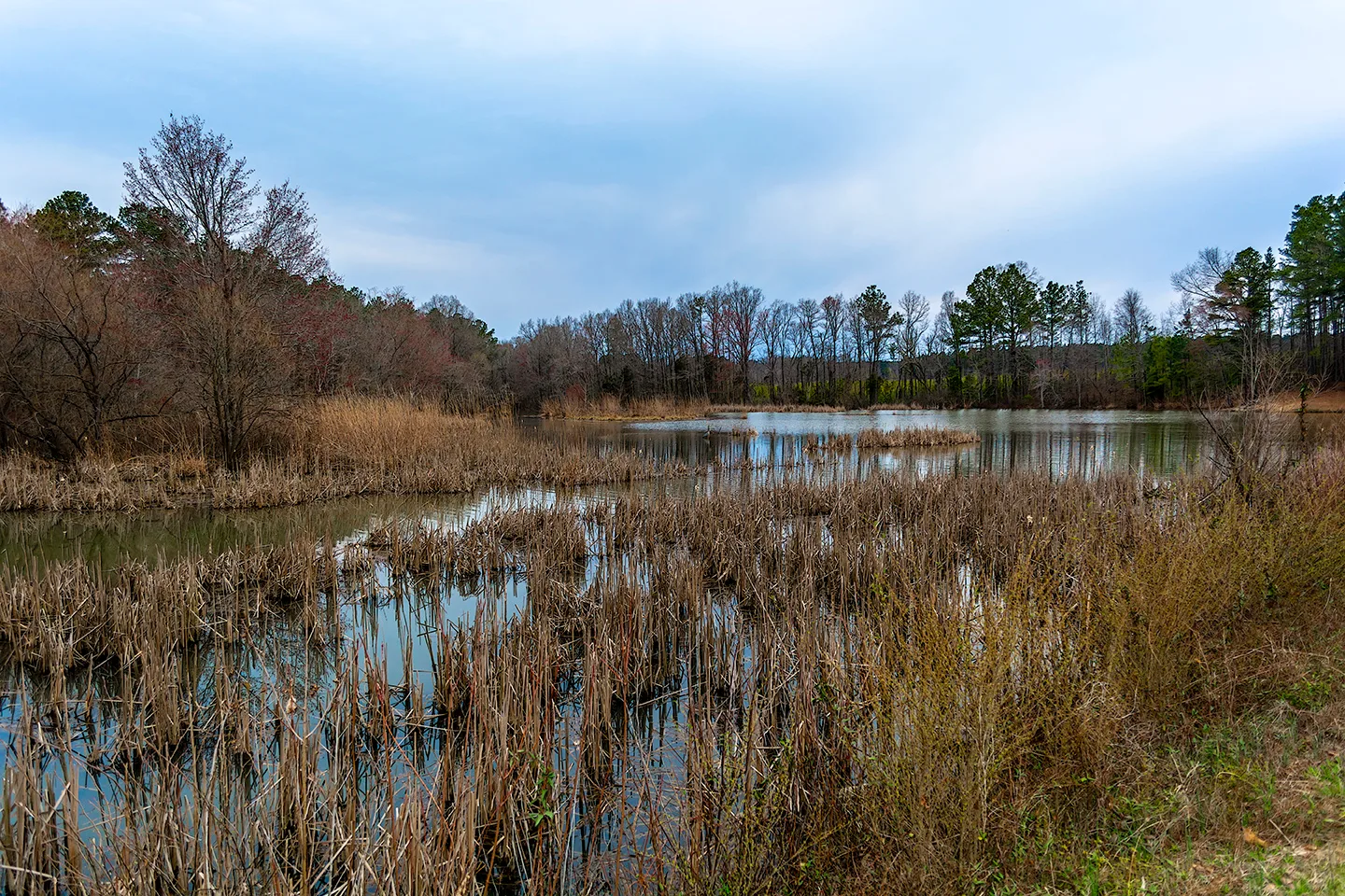 Wildlifeaccessmar 2019 5