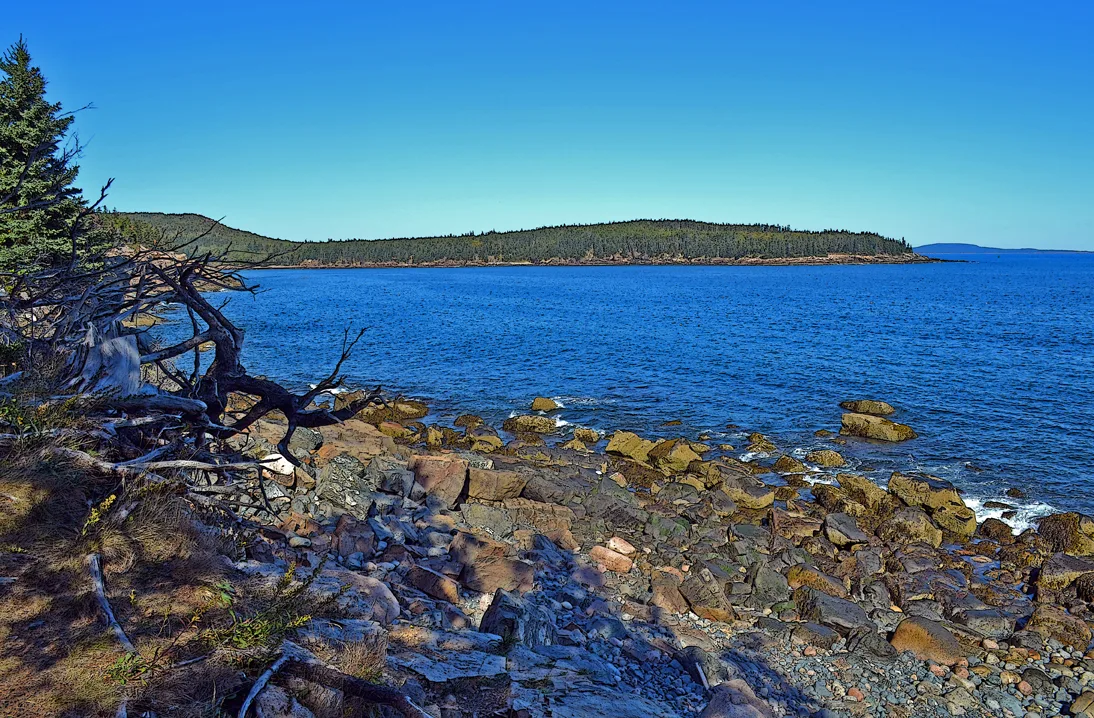 Acadia Shore Fall 1-21