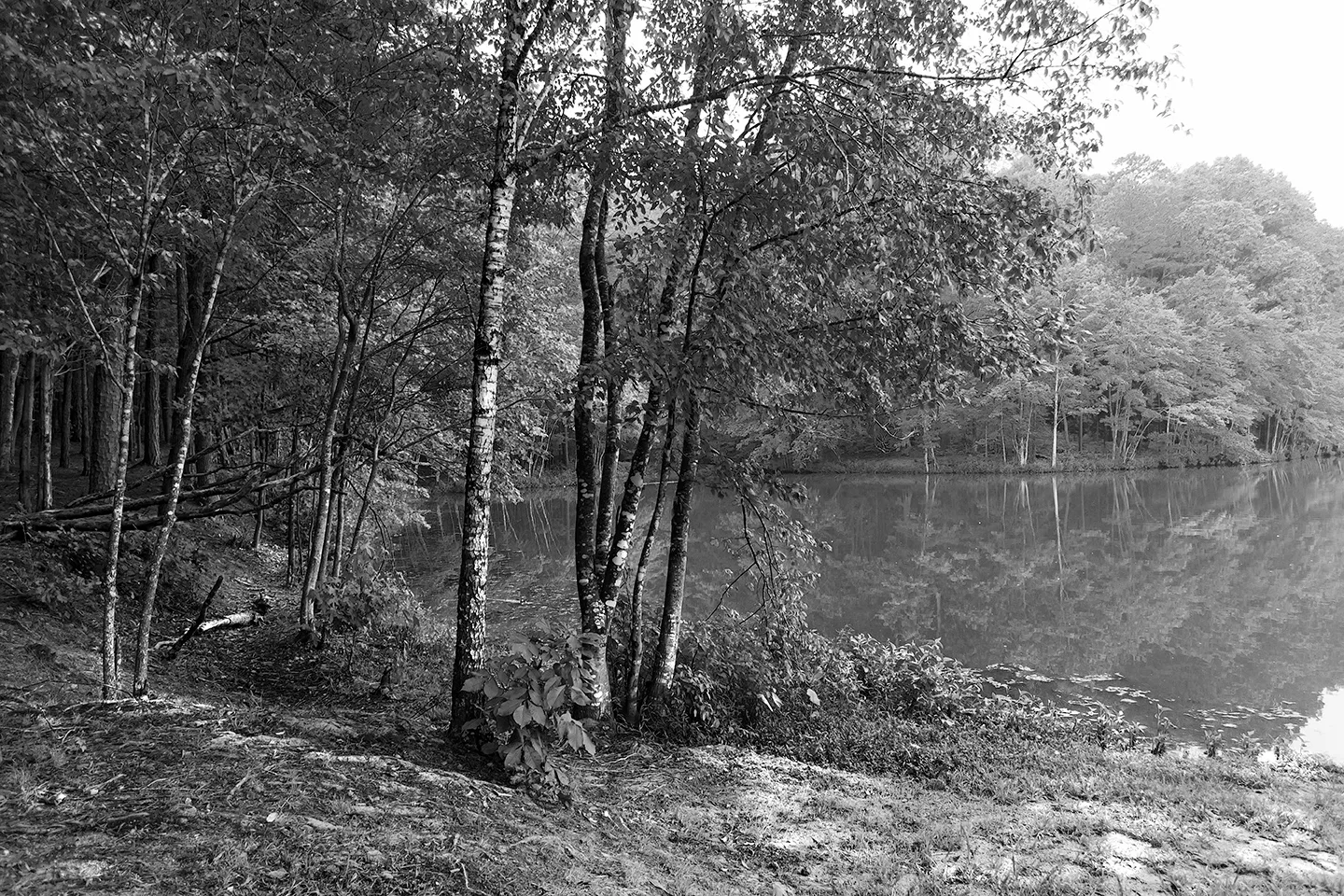 Corriher 2016 Sum 9 B&W