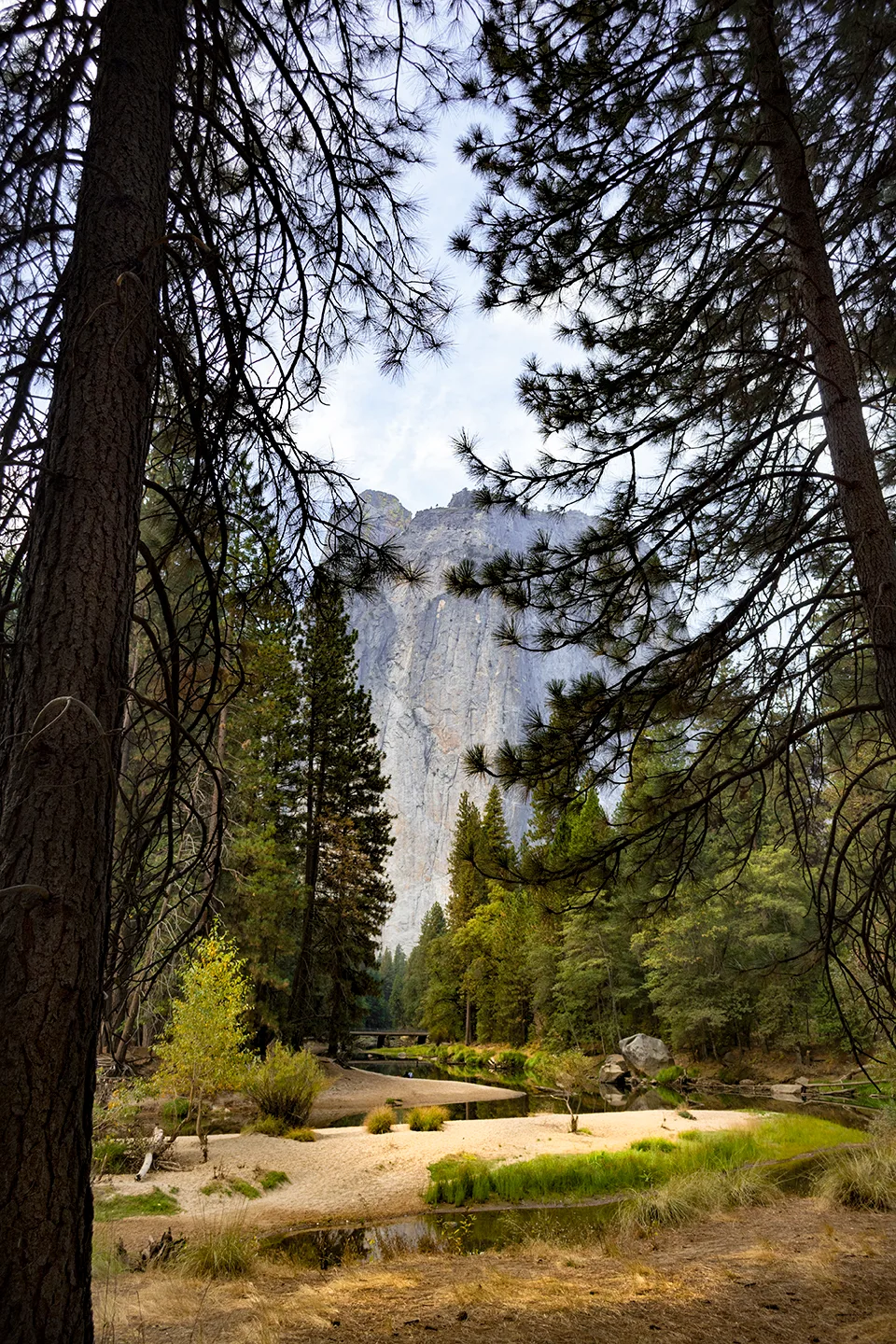 Yosemite 37