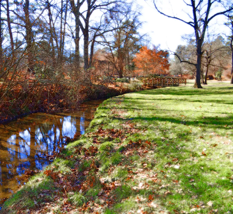 Hurley Park Bridge 2
