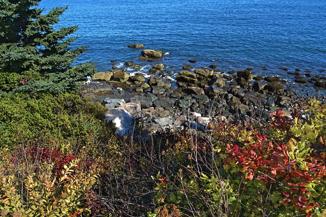 Acadia Shore Fall 1-6