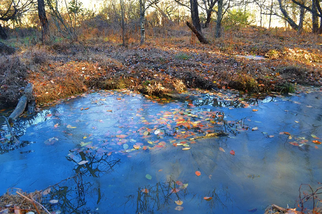 Lake Corriher 2014-9