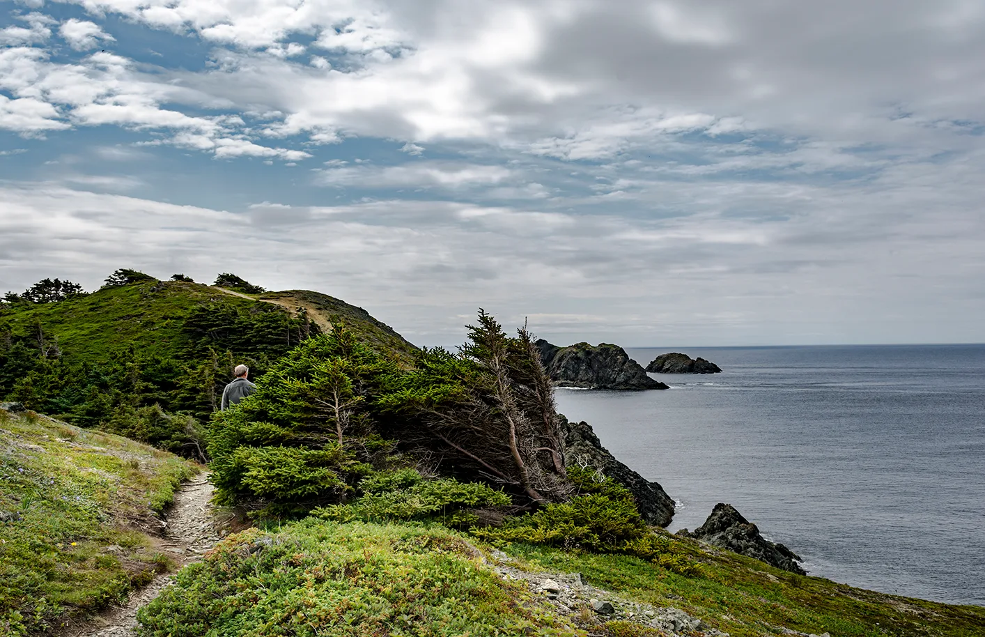 Twillingate 21
