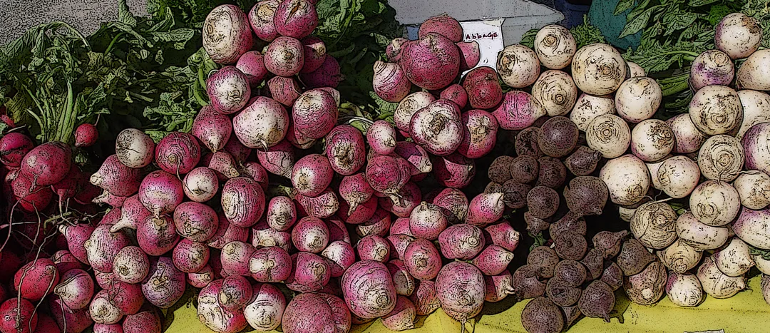 Beets 1