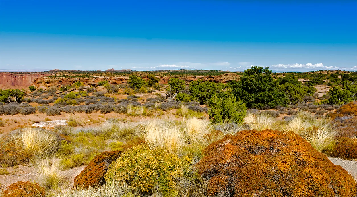 CanyonlandsNationalPark 16