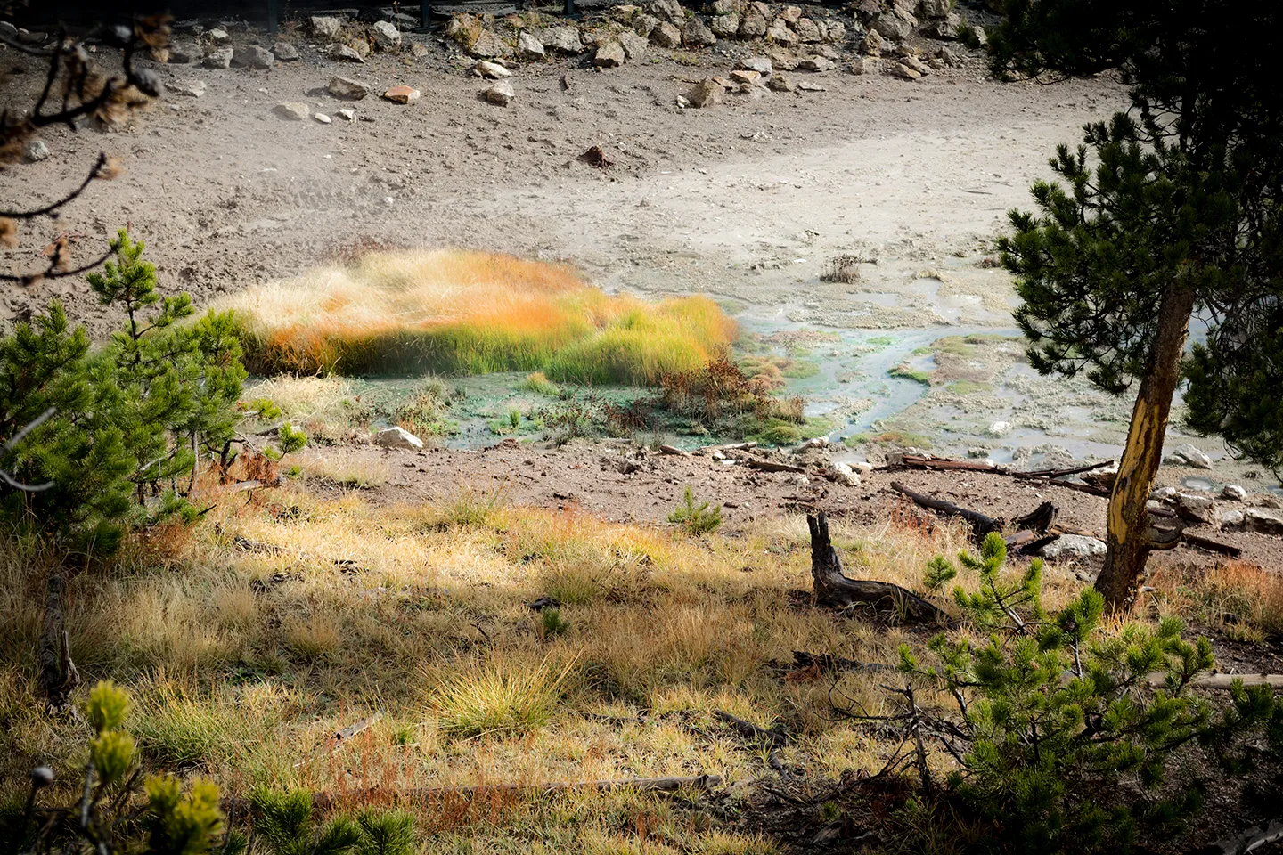 Yellowstone 53