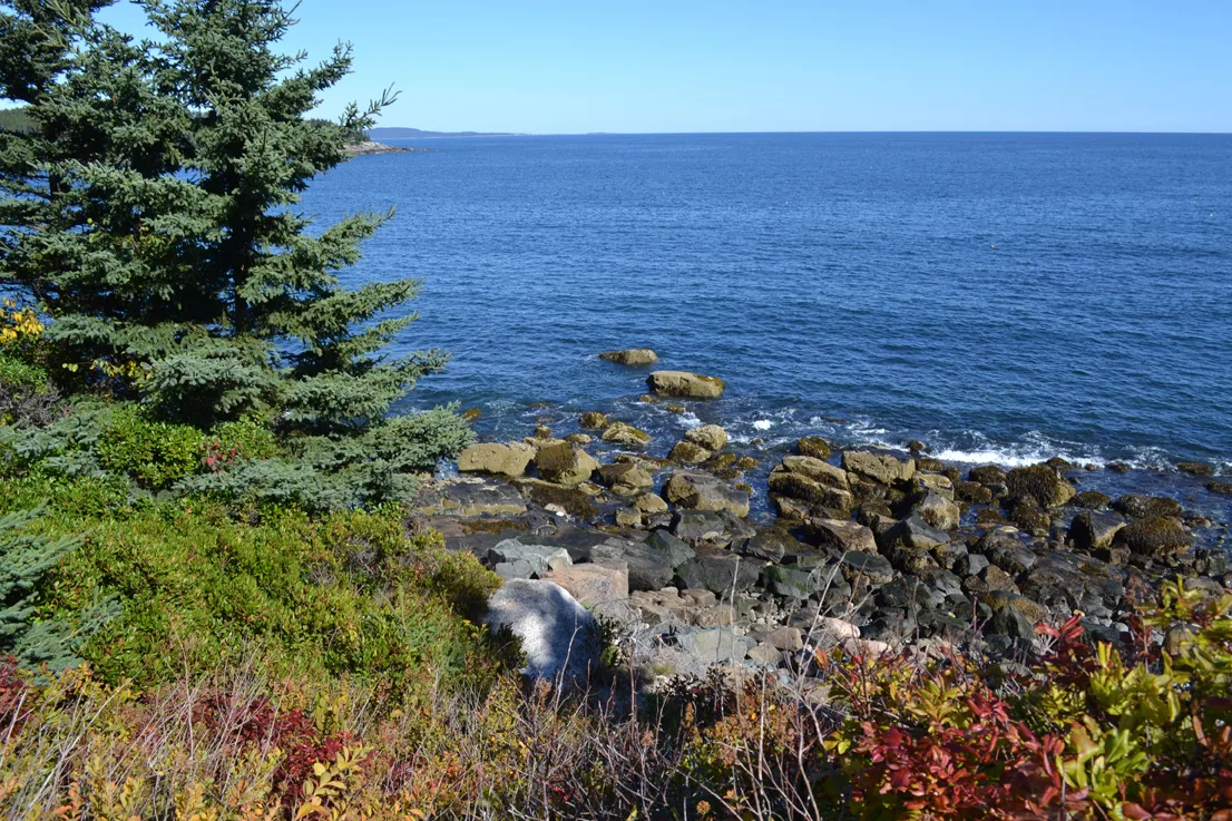 Acadia Shore Fall 1-7